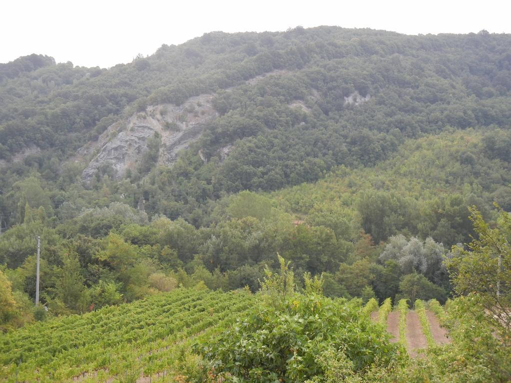 La Colombarola Agriturismo Farneto Εξωτερικό φωτογραφία