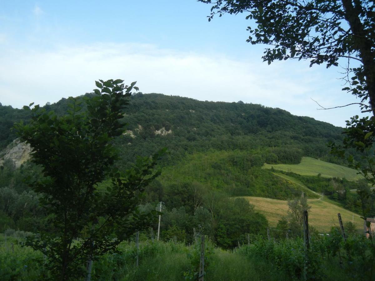 La Colombarola Agriturismo Farneto Εξωτερικό φωτογραφία