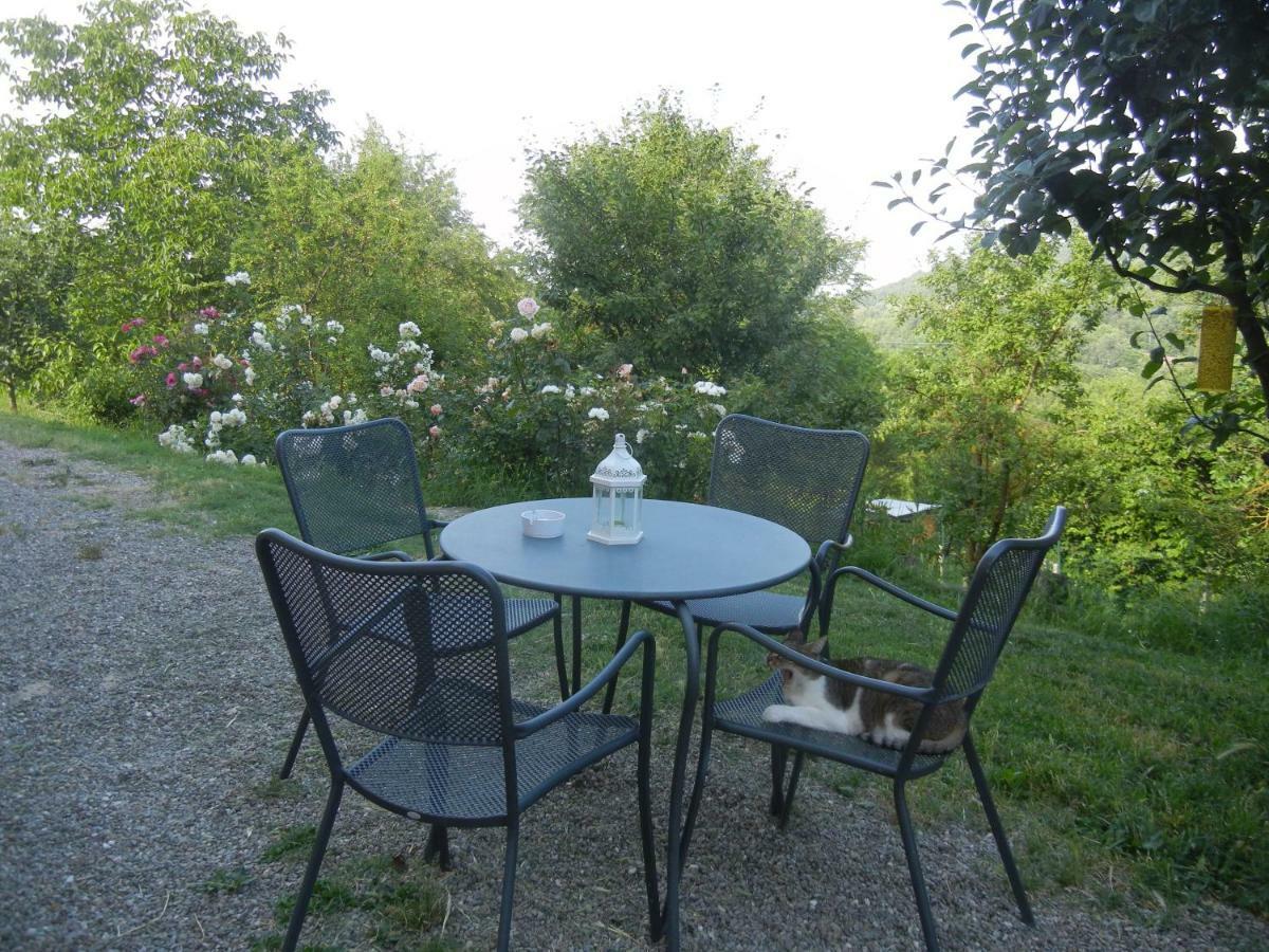 La Colombarola Agriturismo Farneto Εξωτερικό φωτογραφία