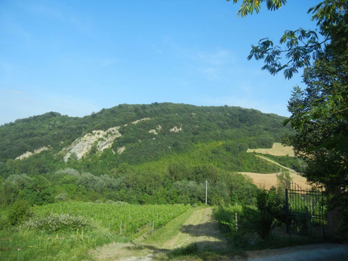 La Colombarola Agriturismo Farneto Εξωτερικό φωτογραφία